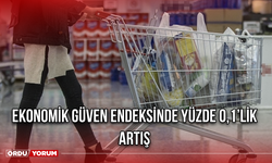 Ekonomik Güven Endeksinde Yüzde 0,1’lik Artış