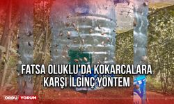 Fatsa Oluklu’da Kokarcalara Karşı İlginç Yöntem