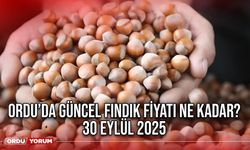 Ordu’da güncel fındık fiyatı ne kadar? 30 Eylül 2025