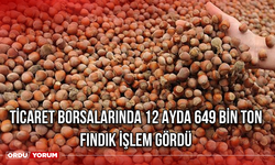 Ticaret Borsalarında 12 Ayda 649 bin ton fındık işlem gördü