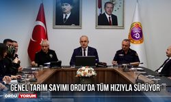 Genel Tarım Sayımı Ordu'da Tüm Hızıyla Sürüyor