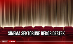 Sinema Sektörüne Rekor Destek