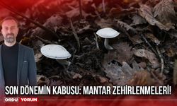 Son Dönemin Kabusu: Mantar Zehirlenmeleri!