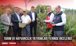 Tarım ve Hayvancılık Yatırımları Yerinde İncelendi