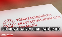 Özel Kreş ve Bakımevlerine Teşvik Desteği