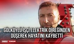Gölköylü İşçi Elektrik Direğinden Düşerek Hayatını Kaybetti