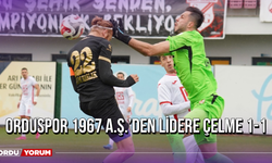 Orduspor 1967 A.Ş.’den Lidere Çelme 1-1