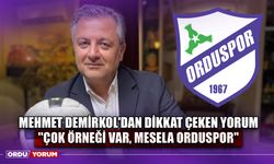 Mehmet Demirkol'dan Dikkat Çeken Yorum ''Çok Örneği Var, Mesela Orduspor''