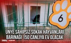 Ünye Sahipsiz Sokak Hayvanları Barınağı 150 Canlıya Ev Olacak