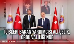 İçişleri Bakan Yardımcısı Ali Çelik, Ordu Valiliği’nde