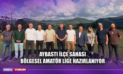 Aybastı İlçe Sahası Bölgesel Amatör Lige Hazırlanıyor