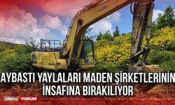 Aybastı Yaylaları Maden Şirketlerinin İnsafına Bırakılıyor