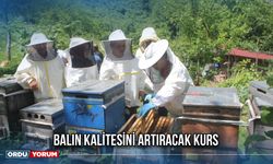 Balın Kalitesini Artıracak Kurs