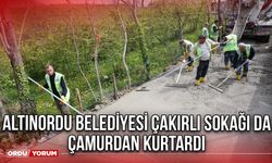 Altınordu Belediyesi Çakırlı Sokağı da Çamurdan Kurtardı