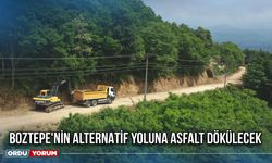 Boztepe'nin Alternatif Yoluna Asfalt Dökülecek