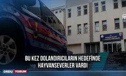 Bu Kez Dolandırıcıların Hedefinde Hayvanseverler Vardı