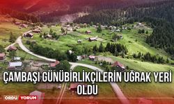 Çambaşı Günübirlikçilerin Uğrak Yeri Oldu