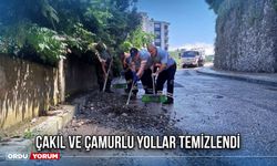 Çakıl ve Çamurlu Yollar Temizlendi
