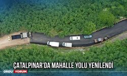Çatalpınar'da Mahalle Yolu Yenilendi