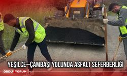 Yeşilce–Çambaşı Yolunda Asfalt Seferberliği Başladı