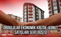 Ordulular Ekonomik Krizde: Konut Satışları Sert Düştü