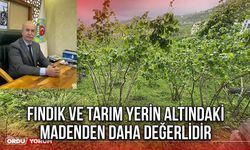 Fındık ve Tarım Yerin Altındaki Madenden Daha Değerlidir