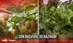 Son Başvuru 30 Haziran!
