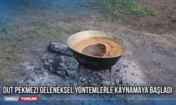 Dut Pekmezi Geleneksel Yöntemlerle Kaynamaya Başladı