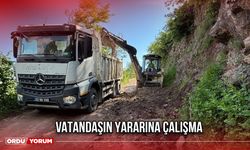 Vatandaşın Yararına Çalışma