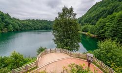 Ordu Ekoloji Platformu Kuruluyor