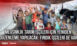 Mevsimlik Tarım İşçileri İçin Yeniden Düzenleme Yapılacak: Fındık İşçileri de Var