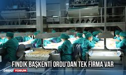 Fındık Başkenti Ordu'dan Tek Firma Var