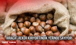 İhracat Rekor Kırıyor Fındık Yerinde Sayıyor!