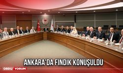 Ankara'da Fındık Konuşuldu