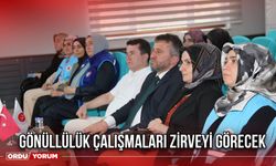Gönüllülük Çalışmaları Zirveyi Görecek