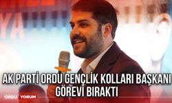 Ak Parti Ordu Gençlik Kolları Başkanı Görevi Bıraktı