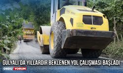 Gülyalı'da Yıllardır Beklenen Yol Çalışması Başladı