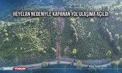 Heyelan Nedeniyle Kapanan Yol Ulaşıma Açıldı