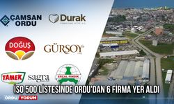 İSO 500 Listesinde Ordu'dan 6 Firma Yer Aldı