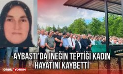 Aybastı’da İneğin Teptiği Kadın Hayatını Kaybetti