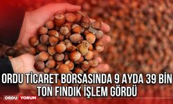 Ordu Ticaret Borsasında 9 Ayda 39 bin Ton Fındık İşlem Gördü