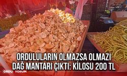 Orduluların Olmazsa Olmazı Dağ Mantarı Çıktı: Kilosu 200 TL