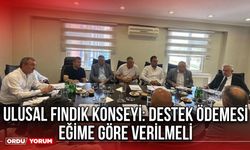 Ulusal Fındık Konseyi: Destek Ödemesi Eğime Göre Verilmeli