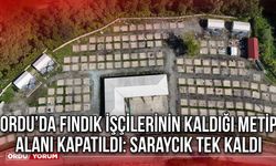 Ordu’da Fındık İşçilerinin Kaldığı METİP Alanı Kapatıldı: Saraycık Tek Kaldı