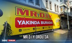 MR D.I.Y. Ordu'da