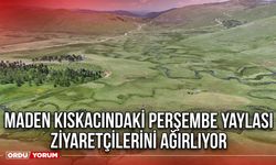 Maden Kıskacındaki Perşembe Yaylası Ziyaretçilerini Ağırlıyor