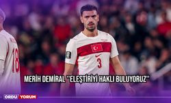Merih Demiral ''Eleştiriyi Haklı Buluyoruz''