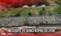 Mesudiye’ye İkinci Köprü Geliyor