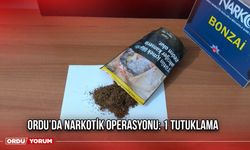 Ordu’da Narkotik Operasyonu: 1 Tutuklama
