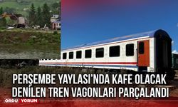 Perşembe Yaylası’nda Kafe Olacak Denilen Tren Vagonları Parçalandı
